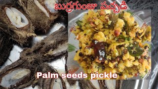 బుర్రగుంజు పచ్చడి | palm seed pickle - Burragunju curry - బుర్రగుంజు | Burra Gunju |పల్లెటూరు రుచులు