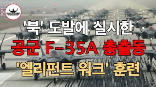 북 대응위한 F-35A 총동원한 '엘리펀트 워크' 훈련영상 #슈퍼소닉