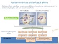 IAEA/ESNM Webinar - Basic Principles of Radionuclide Therapy and Common Clinical Applications