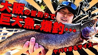 【釣具屋の店員がYouTuberデビュー…】大阪の釣り堀がヤバすぎた…【第一話から唖然な内容…】