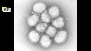 香川県内全域に「インフルエンザ流行注意報」を発令　うがい・こまめな手洗いなど各自で予防を【香川】 (24/12/20 15:00)