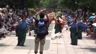 早稲田大学東京花火さん（Ⅱ）＠2012　よさこい祭りin光が丘公園