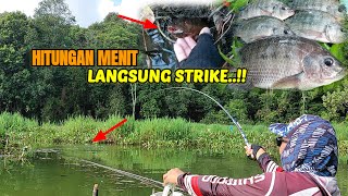 BABAK BELUR MANCING NILA DI SINI..!! saat mencoba campuran lumut ini #umpanjitu