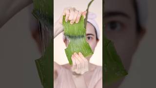 ALOE ASMR🌱😵‍💫#shorts #survival ...