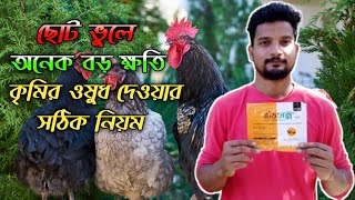 মুরগিকে কৃমির ওষুধ দেওয়ার সঠিক নিয়ম #shakilfarming #murgipalon #desimurgikhamar