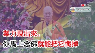 业力现出来，你马上念佛就能把它忏掉【大安法师开示】