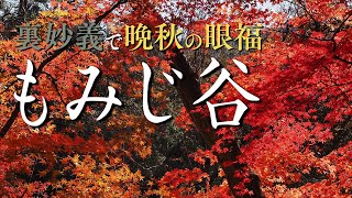 2023年11月26日　裏妙義【もみじ谷】