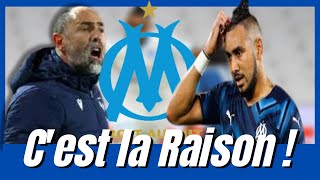 OM : C'est la Raison !L'Olympique de Marseille aujourd'hui!
