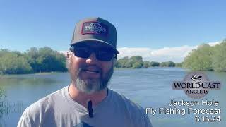 Jackson Hole Fly Fishing Forecast 6.15.24