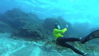 12月の八丈島で珊瑚と素潜り！Recreational Freediving in Japan