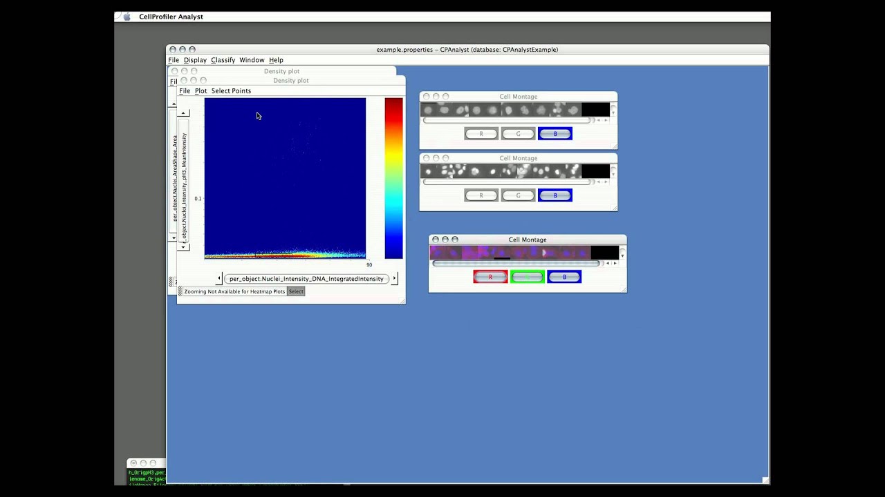 Cellprofiler Scoring Cell Populations Youtube