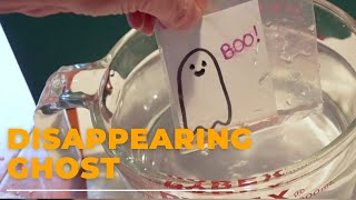 The Disappearing Ghost Experiment – Halloween Science Activity for Kids