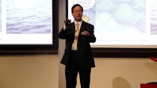 Nanogenerators for Micro to Mega Scale Energy Harvesting | Zhong Lin Wang | TEDxGeorgiaTech