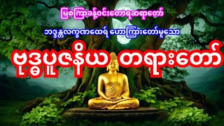 ဗုဒ္ဓပူဇနိယတရားတော်, မြစကြာခန့်ဝင်းတောရဆရာတော် ဘဒ္ဒန္တလက္ခဏထေရ်