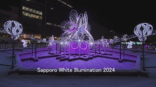 Sapporo White Illumination 2024