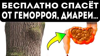 Решает все проблемы ТАМ! Вот что спасет от геморроя, диареи, кровоточивости десен, ангины и...