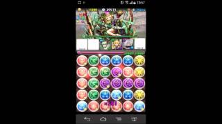 【パズドラ】　ランキングダンジョン　ガンフェス前夜祭杯　126494 点【みらい】