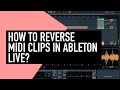 How to Reverse MIDI Clips in Ableton Live? (Beginner Tutorial)