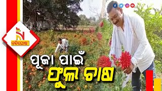 ପାଟକୁରା: ଫୁଲ ଚାଷ କରନ୍ତି ହେଲେ ବିକ୍ରି ନକରି ଧର୍ମାନୁଷ୍ଠାନକୁ ଦାନ କରିଦିଅନ୍ତି | NandighoshaTV