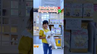 BEGINI JADINYA KALAU KDISTA PELIHARA KUCING!!#lucu#viralvideo#fashiontrends#balon#drama#trending