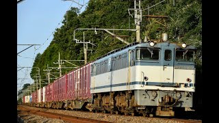 【4K】1092レ EF65-2095 貨物列車