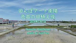 田んぼアート南陽・色苗の田植え後 2024年5月5日