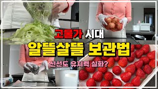 필수 식재료인 대파와 양파를 오랜 시간 신선하고 편리하게 보관할 수 있는 손쉬운 방법