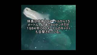 1.5倍速未確生ファイル23　キャディ