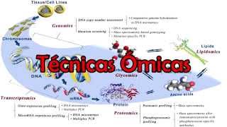 Técnicas Ómicas