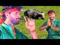HD VIDEO - रहली भईस चरवईया Gawaiya Tunhi Banwalu Na - Khesarilal Yadav Superhit Dj Navratri Song