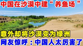 中国在沙漠中建“养鱼场”，意外却将沙漠变为绿洲，网友惊呼：中国人治沙太厉害了#科技#科普#科学#沙漠绿洲#沙漠养殖#沙漠工程#巨匠工程