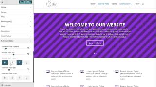 Using The Divi Module Customizer