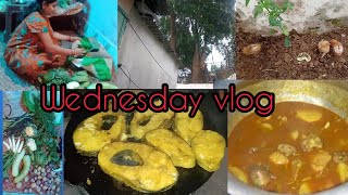 ହଠାତ୍ ବର୍ଷା ଏତେ ଜୋରରେ //Wednesday vlog //Odia vlog by banita