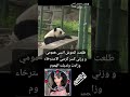 تكبرين وتنسين عهود هههههههه