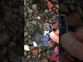 Gorgeous Blue and White Victorian Pottery Extracted from River Thames Foreshore by a London Mudlark