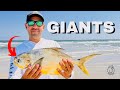 Corpus Christi Surf Fishing: What’s the Best Bait for Pompano?