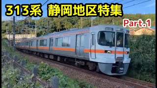 【JR東海313系】静岡地区特集Part 1