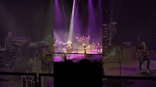 Steve Hackett - The Cinema Show / Aisle of Plenty (Live in Rome, 31 October 2024)