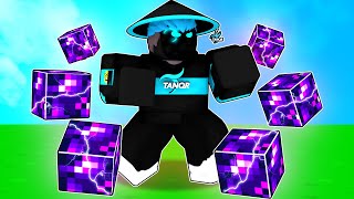 When TanqR uses the TERRA KIT in Roblox Bedwars..