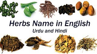 Herbs name in english |  Seeds Spices Herbs | Jari botian list in urdu and hindi