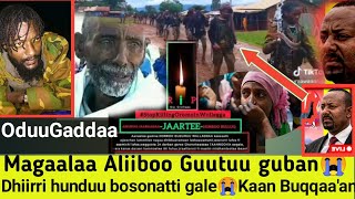 🔴Horroo Guduruutti Faannoon Magaalaa guutuu guban😭 Dhiirri hunduu bosona seene💔