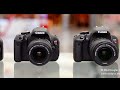 canon или nikon что выбрать новичку canon vs nikon