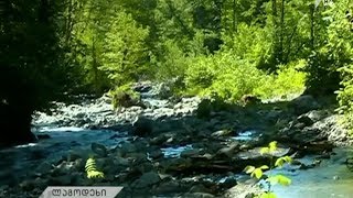 ტრაგედიით დასრულებული ექსკურსია
