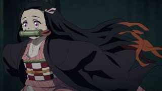 Nezuko With Demon Slayer Characters