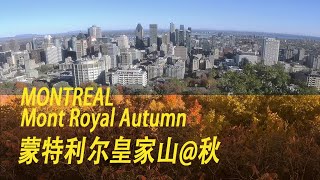 2020皇家山之秋Autumn of Mount- Royal/Automne du Mont Royal海哥Hihai  Montreal QC Canada