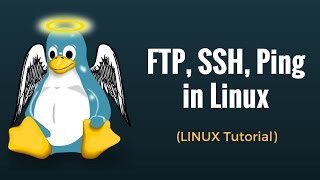 SSH, FTP, Ping, Telnet: Linux Networking Commands Tutorial 12