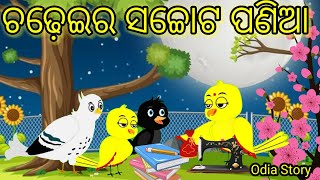 ଚଢ଼େଇର ସଚ୍ଚୋଟ ପଣିଆ|Imandar Chadhei|Tuni Chidiyan|Tiki Chadhei Gapa|Odia Gapa|Moral Stories|Cartoon