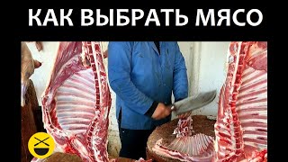 Как ВЫБРАТЬ МЯСО на бакинский шашлык