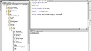 SQL Server 2005 online training Video Tutorial lesson 4 10