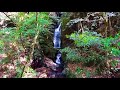 【生音】揺れる緑は滝の風 【sound of nature】the fresh verdure swaying in the wind and cascade